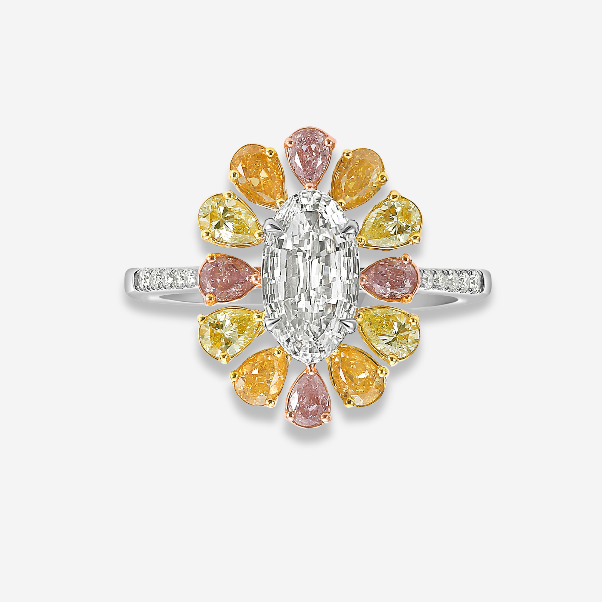 White Oval diamond halo ring at Rare Colors by Namdar, 5th Avenue New York