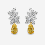 3 Carat Each Yellow Diamond With White Diamond Cluster Earrings