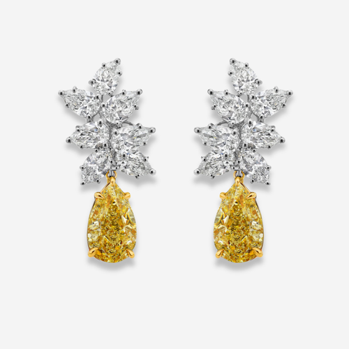 3 Carat Each Yellow Diamond With White Diamond Cluster Earrings