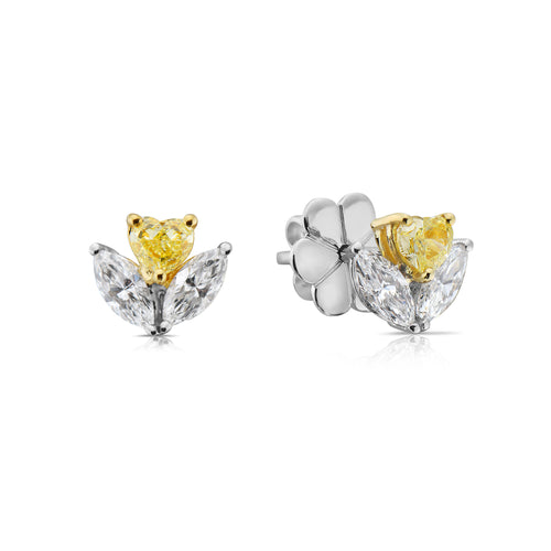 yellow diamond studs. everyday diamond studs